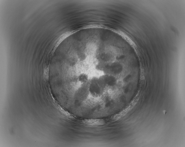 X0000112040953200908101358