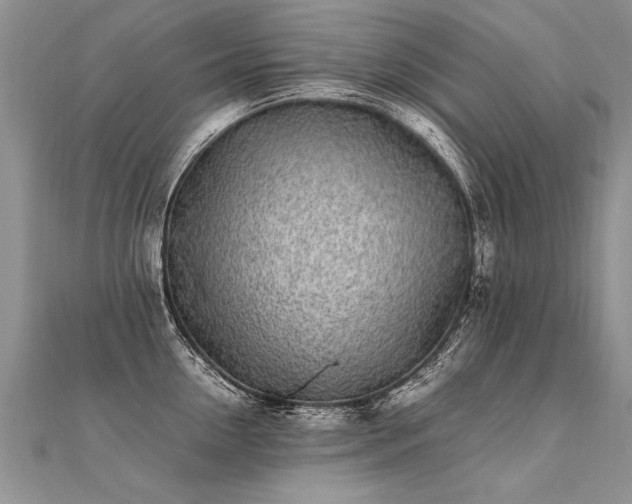 X0000112040954200908101358