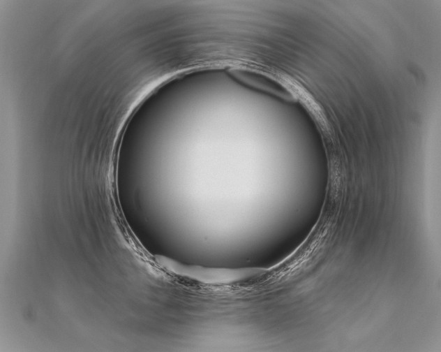 X0000112040956200908101358