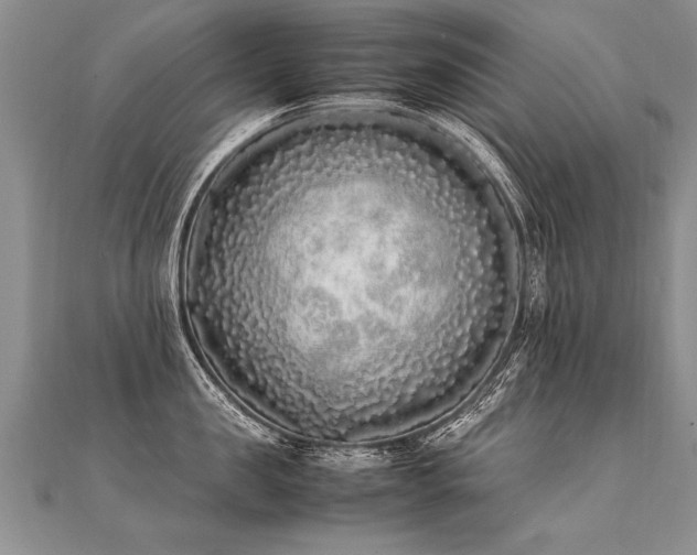 X0000112040957200908101358