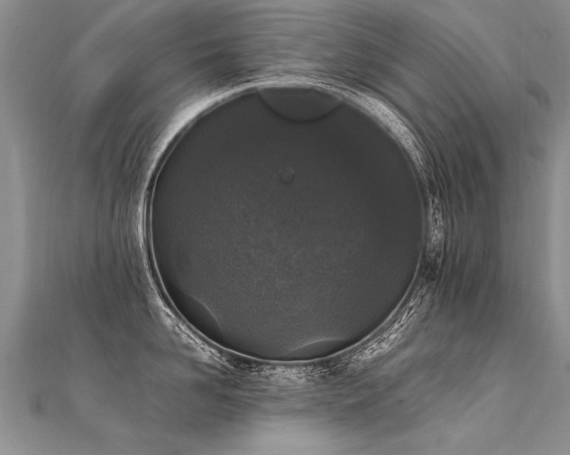 X0000112040958200908101358