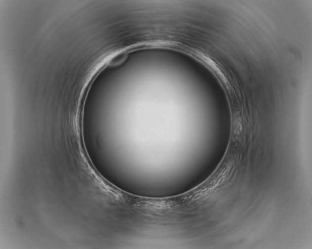 X0000112040959200908101358