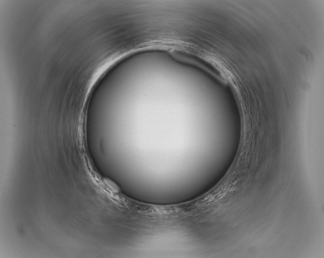 X0000112040960200908101358