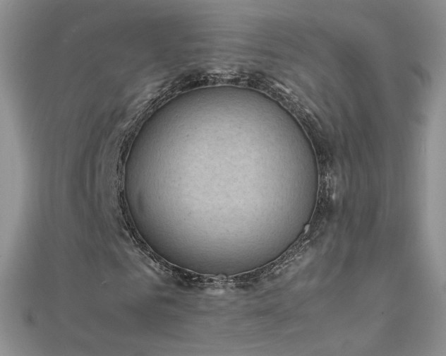 X0000112040961200908101357