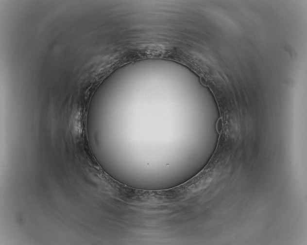 X0000112040962200908101357