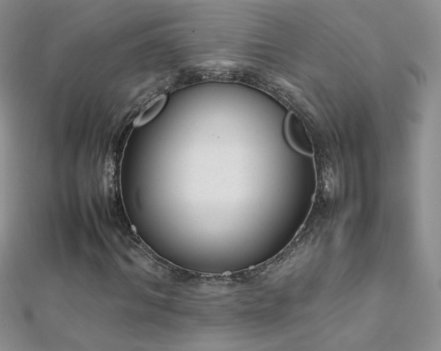 X0000112040964200908101357