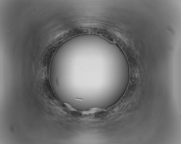 X0000112040965200908101357