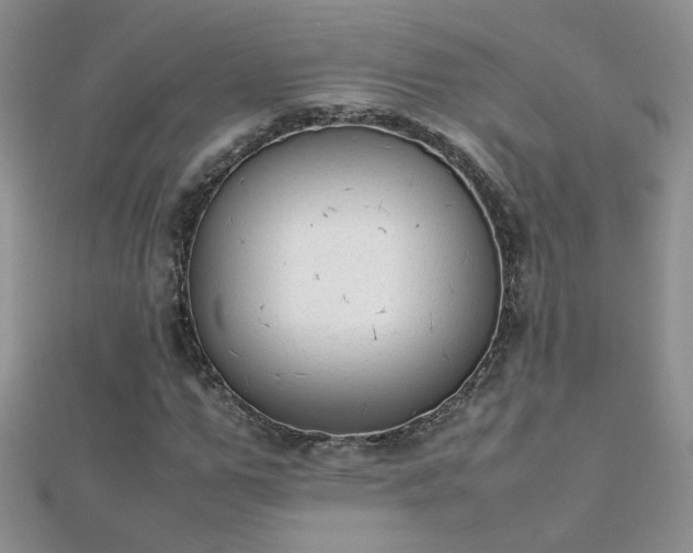 X0000112040967200908101357