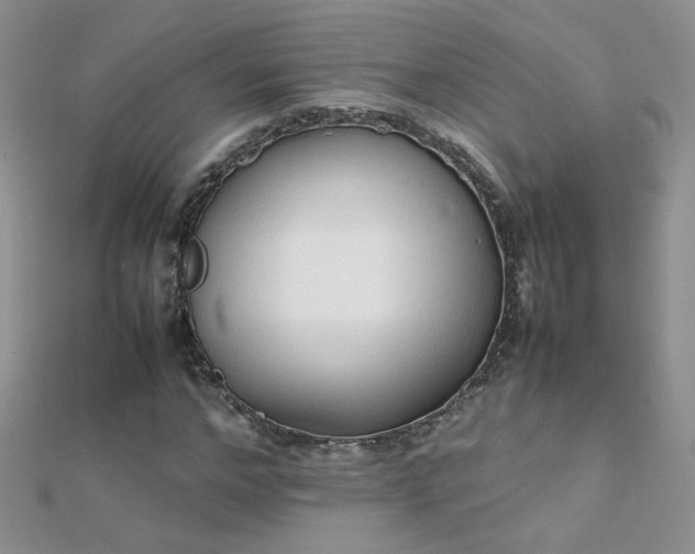 X0000112040968200908101357