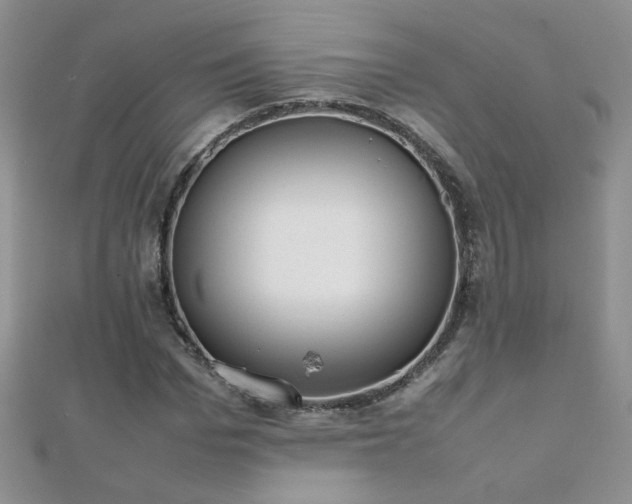 X0000112040969200908101357