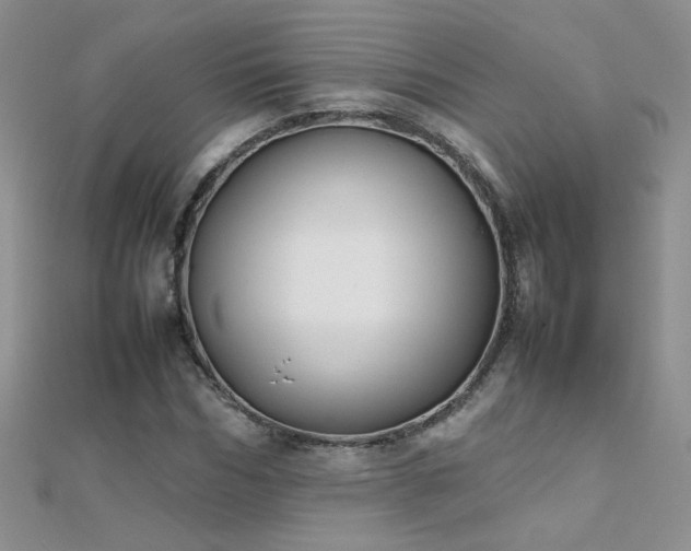 X0000112040970200908101357