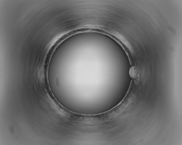 X0000112040972200908101357