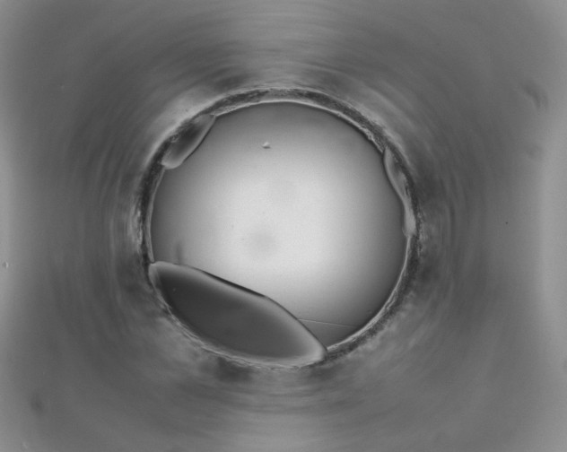 X0000112040973200908101357