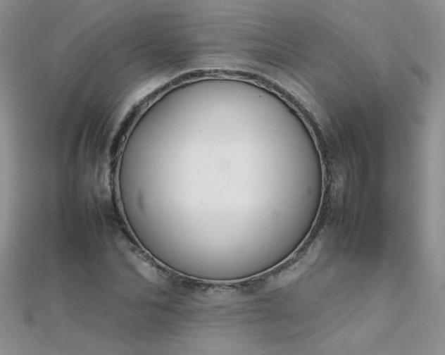 X0000112040974200908101357