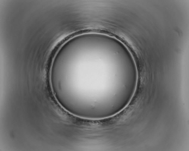 X0000112040975200908101357