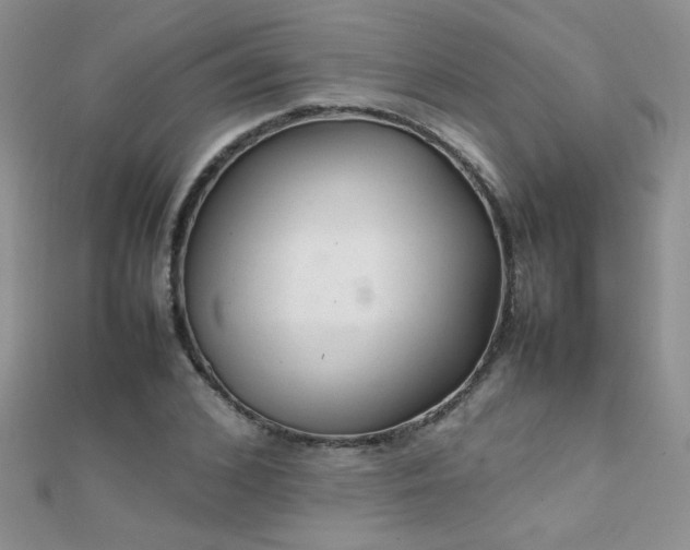 X0000112040976200908101357