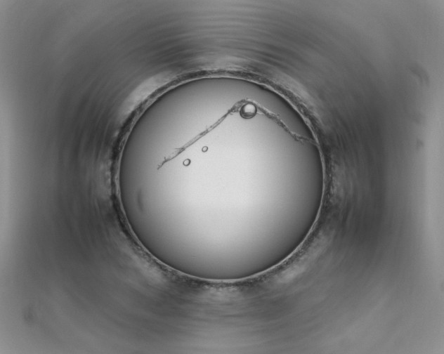 X0000112040978200908101357