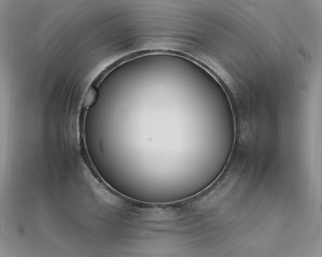 X0000112040980200908101357