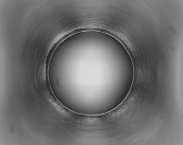 X0000112040982200908101357