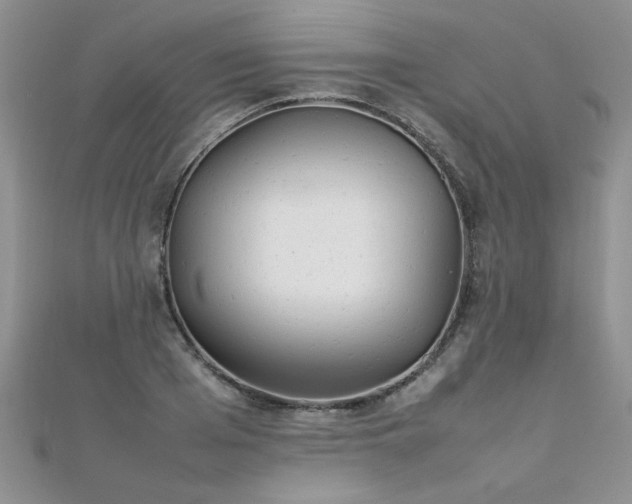 X0000112040985200908101357