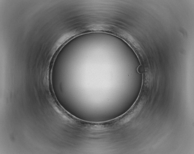 X0000112040986200908101357