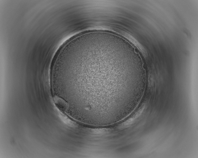 X0000112040988200908101357