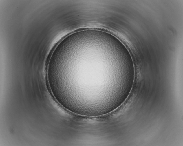 X0000112040990200908101357