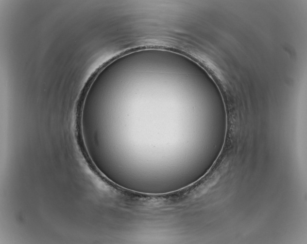 X0000112040991200908101357