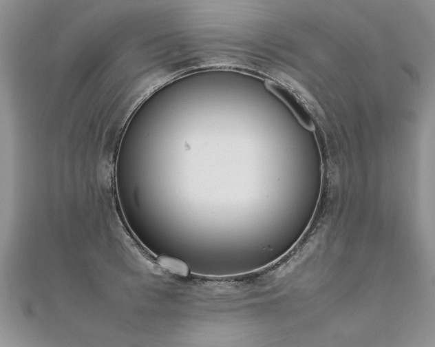 X0000112040993200908101357