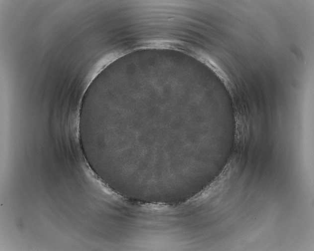 X0000112040994200908101357