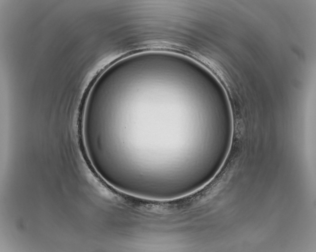 X0000112040995200908101357