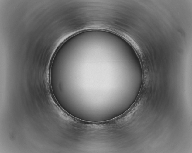 X0000112040996200908101357