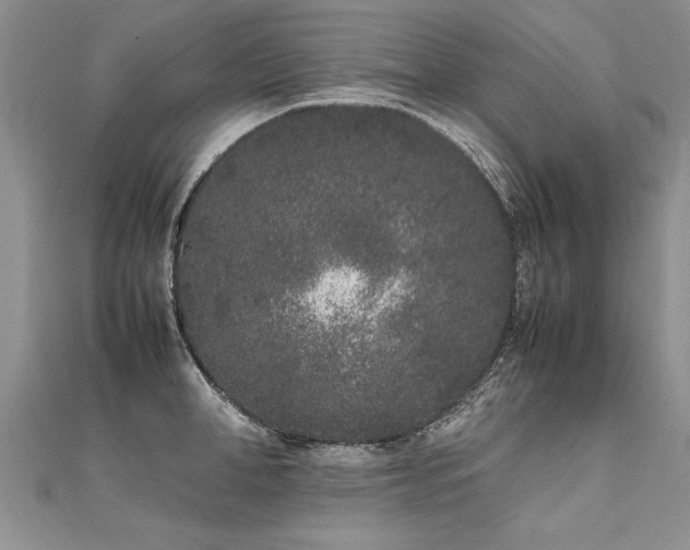 X0000112040998200908101357