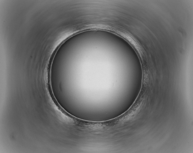 X0000112040999200908101357