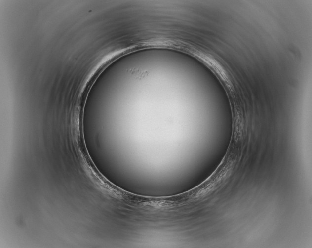 X0000112041000200908101357