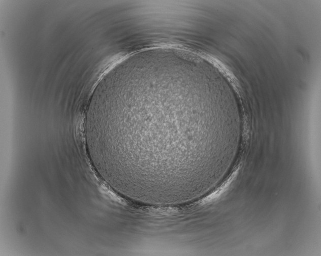 X0000112041001200908101357