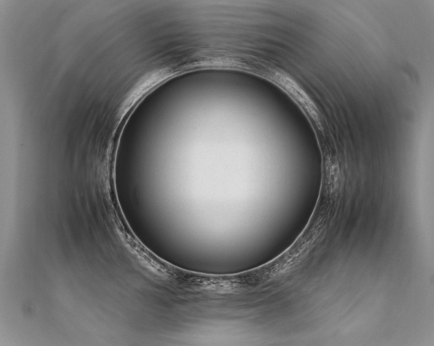 X0000112041002200908101357