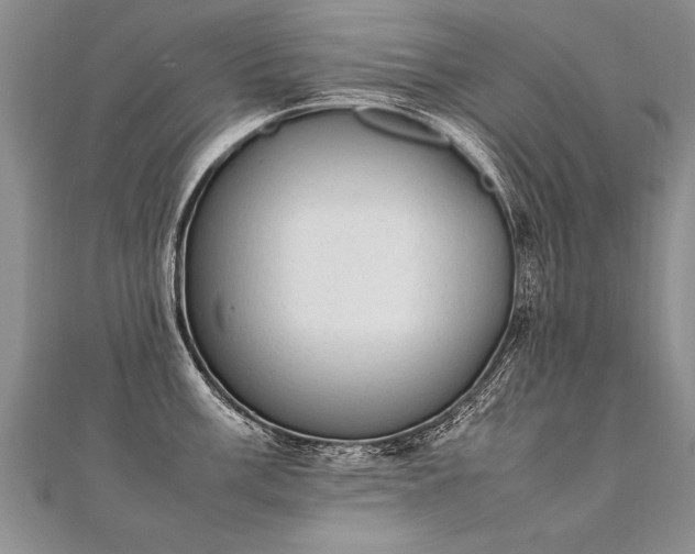X0000112041003200908101357