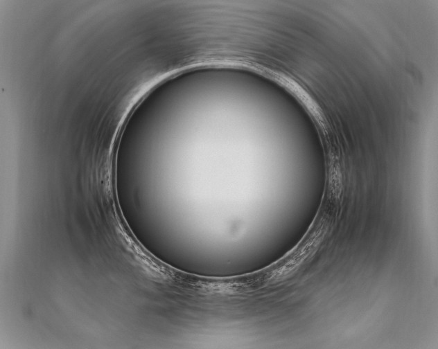 X0000112041004200908101357