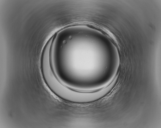 X0000112041005200908101357