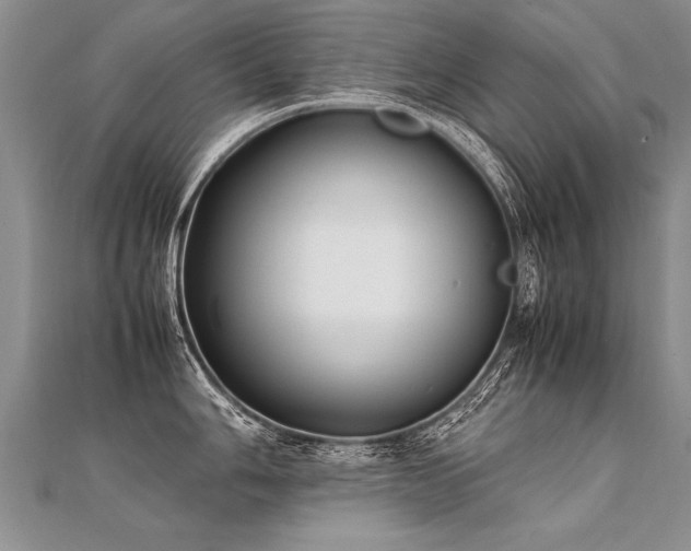 X0000112041006200908101357