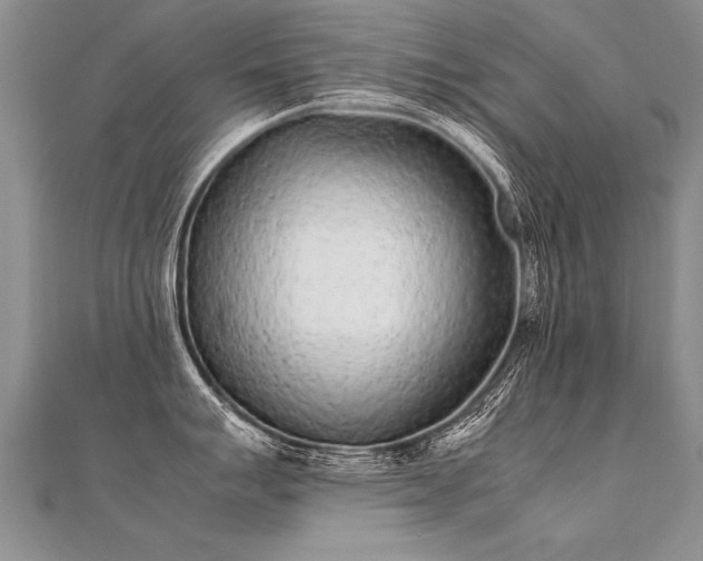 X0000112041007200908101357