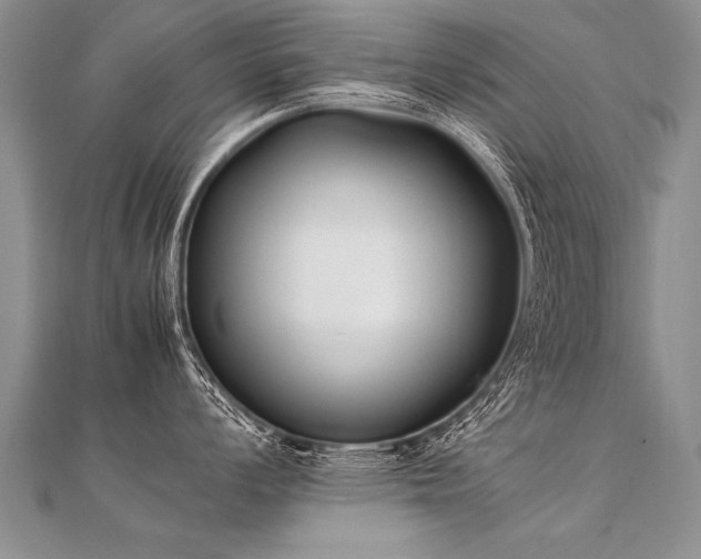 X0000112041008200908101357