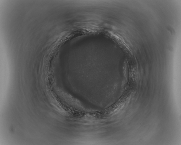 X0000112041009200908101356