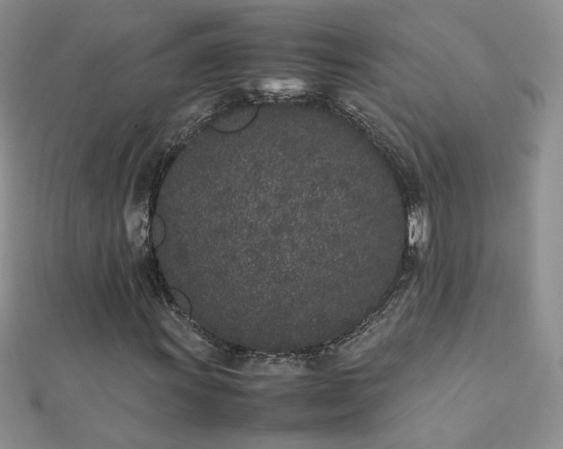 X0000112041011200908101356