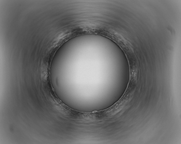 X0000112041012200908101356