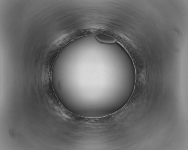 X0000112041014200908101356