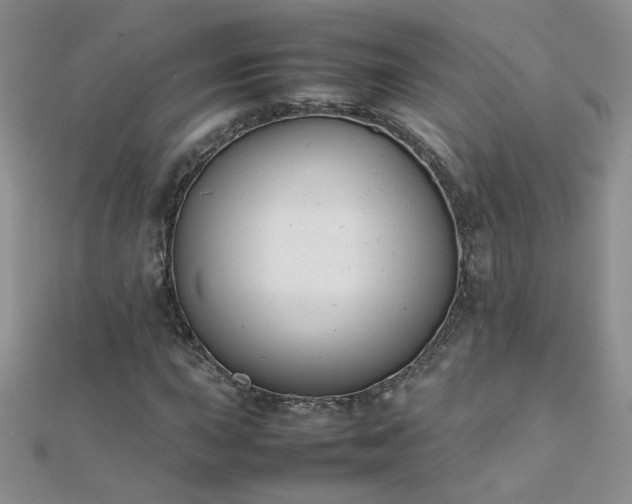 X0000112041015200908101356