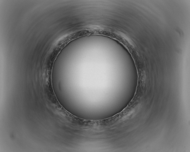 X0000112041016200908101356