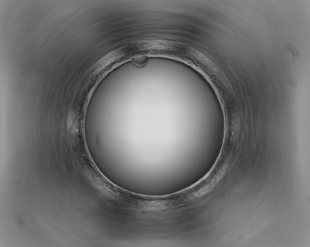 X0000112041017200908101356